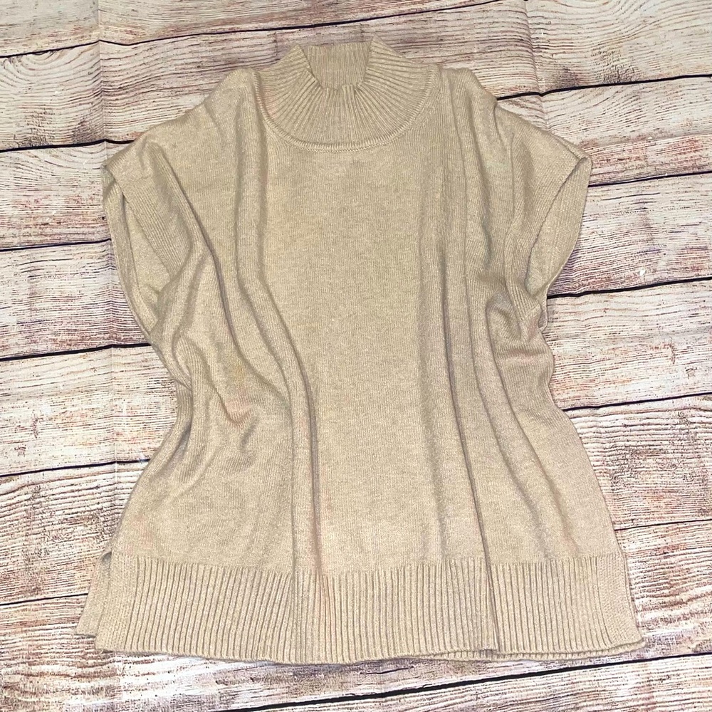 Max Studio Mock Neck Sweater